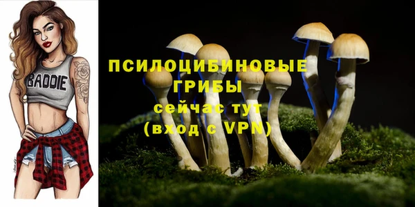 mdpv Нея