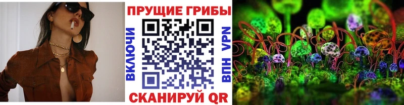 Галлюциногенные грибы GOLDEN TEACHER сколько стоит blacksprut сайт Ветлуга